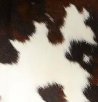 Motley Brown Leather 6x9 Area Rug