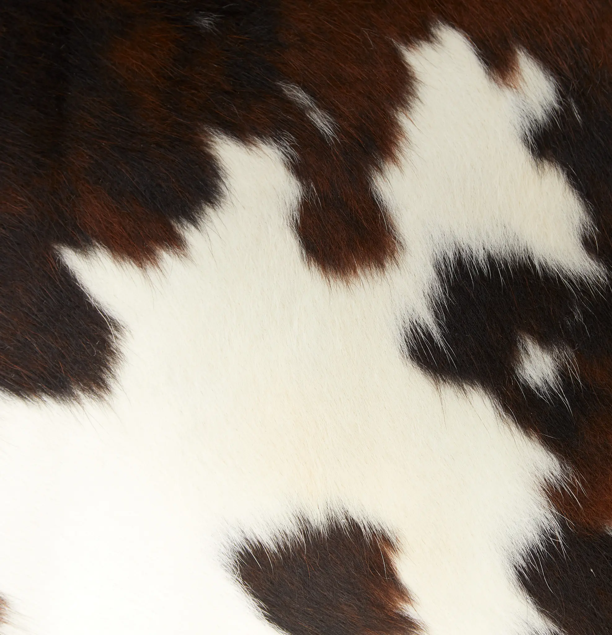 Motley Brown Leather 6x9 Area Rug Motley Brown Leather 6x9 Area Rug