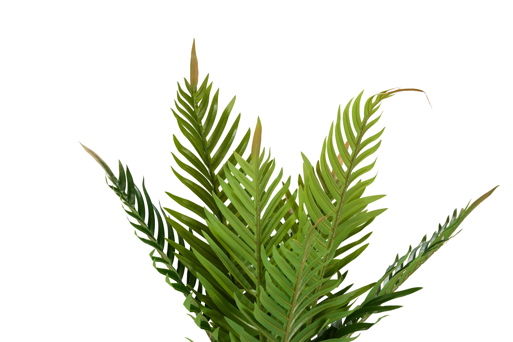 Fern Plant 24" Greenery