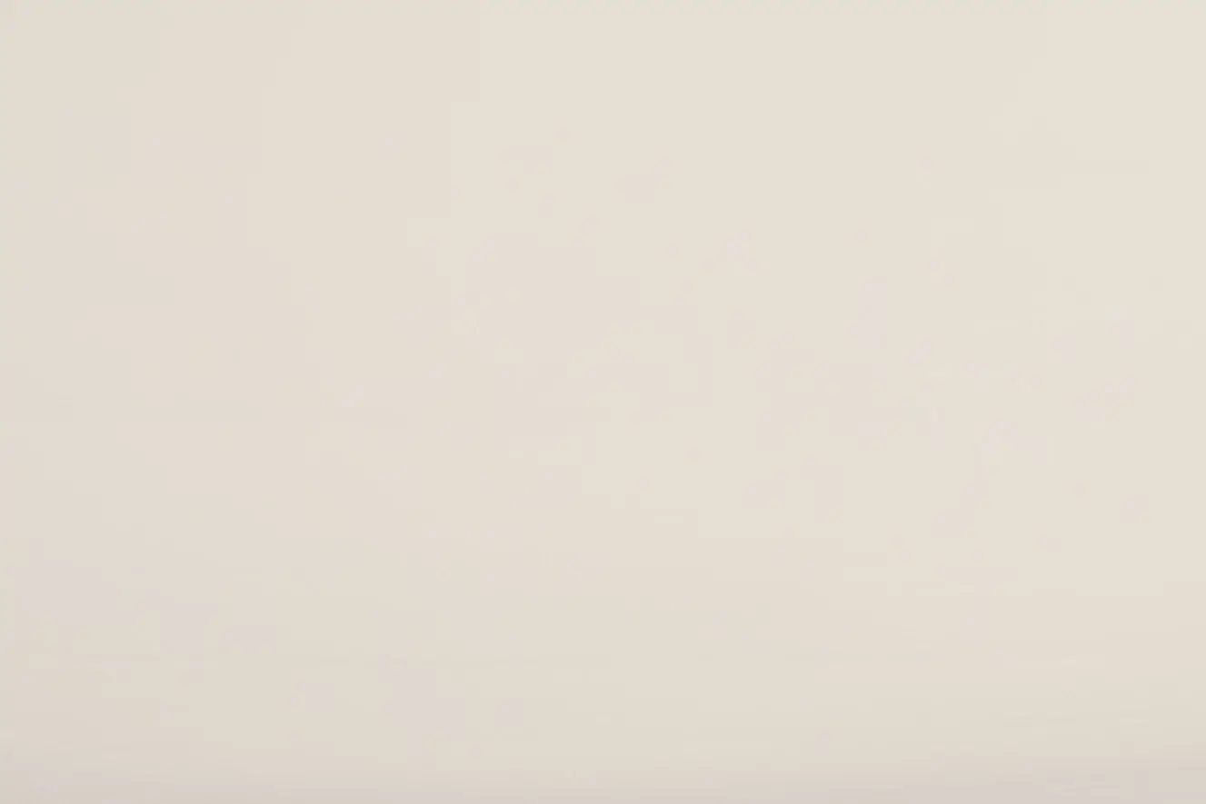 Ryah Light Gray Bowl Ryah Light Gray Bowl