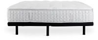 Aireloom Timeless Odyssey Luxetop M1 Plush Deluxe Adjustable Mattress Set