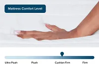 Rest & Renew By Zinus 12" Hybrid Memory Foam & Innerspring Mattress