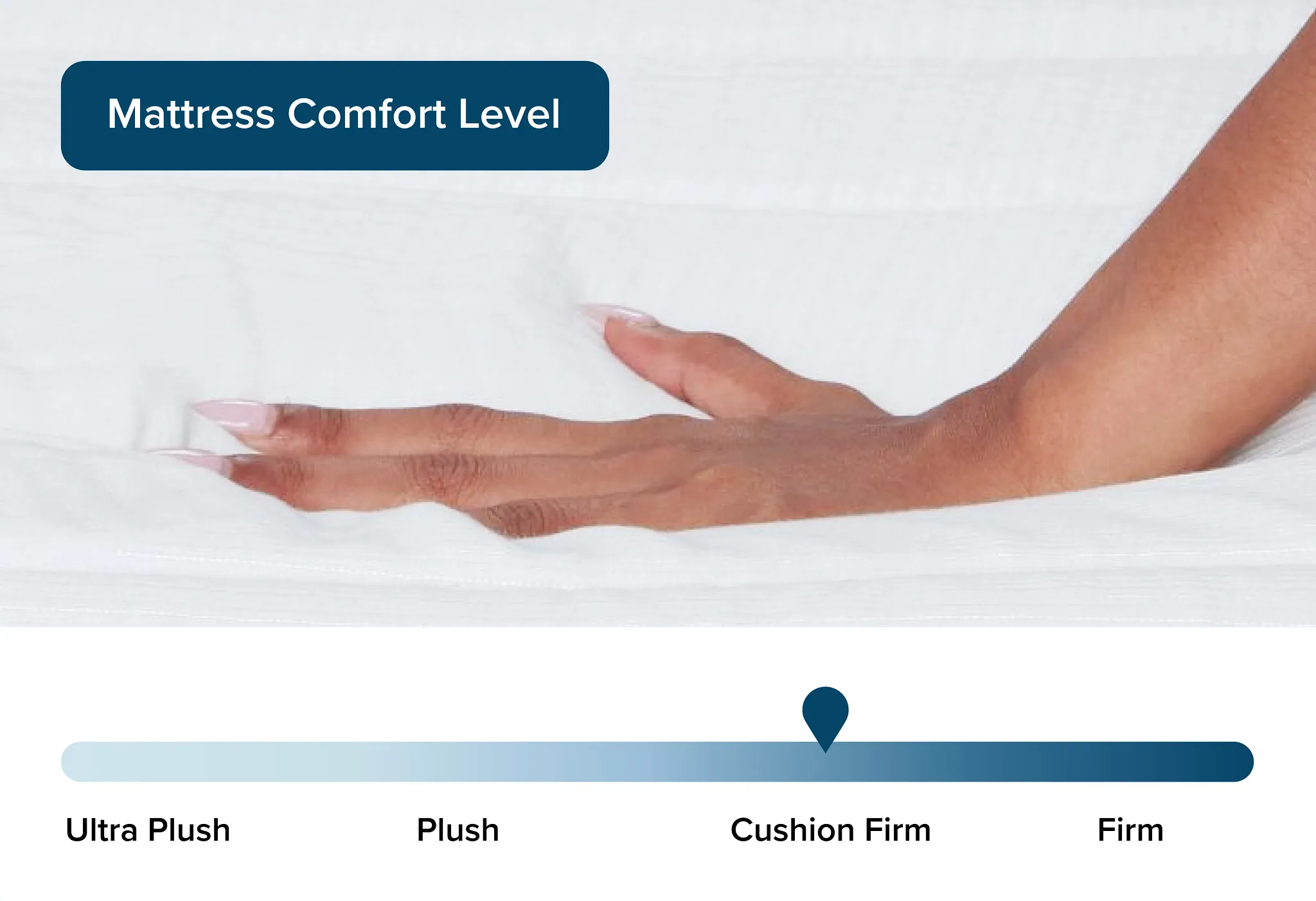 Rest & Renew By Zinus 12" Hybrid Memory Foam & Innerspring Mattress