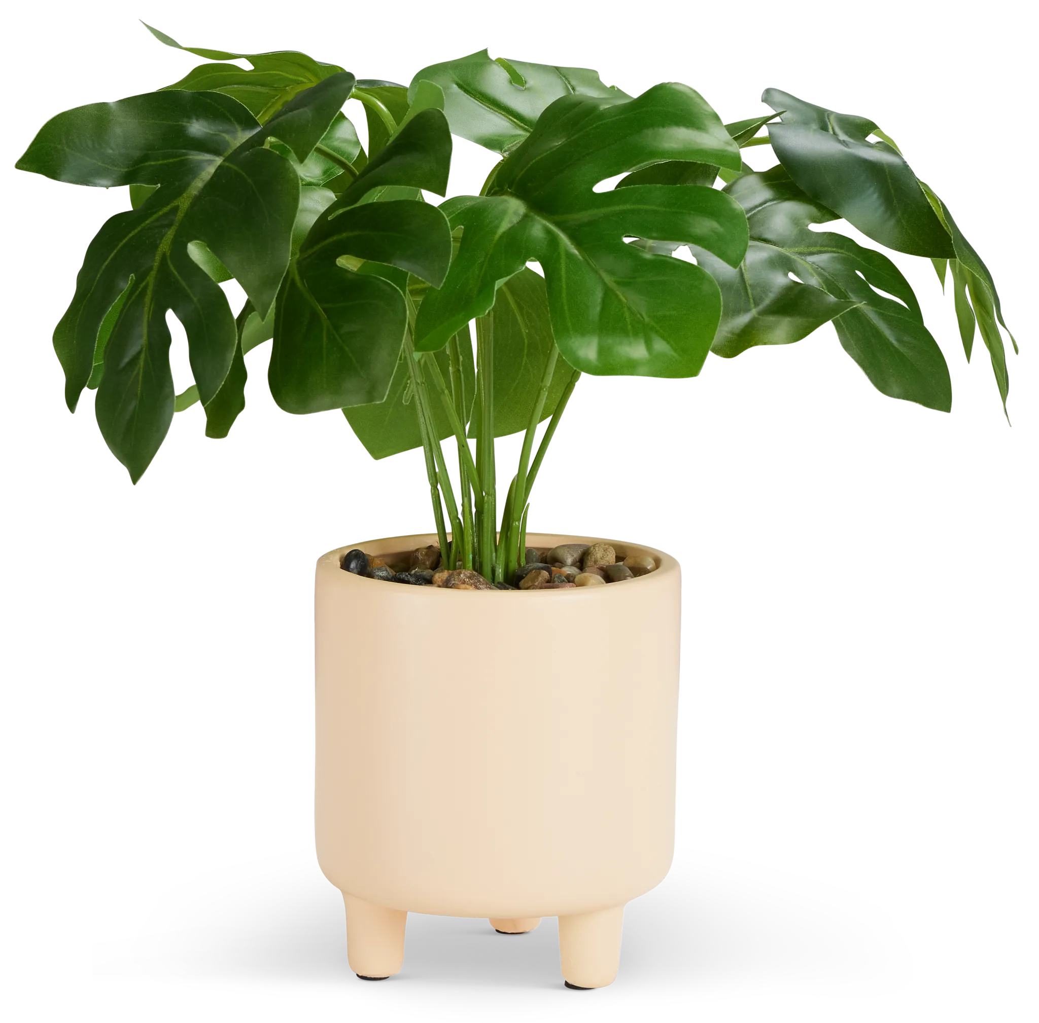 Turtleback Leaf 12" Greenery