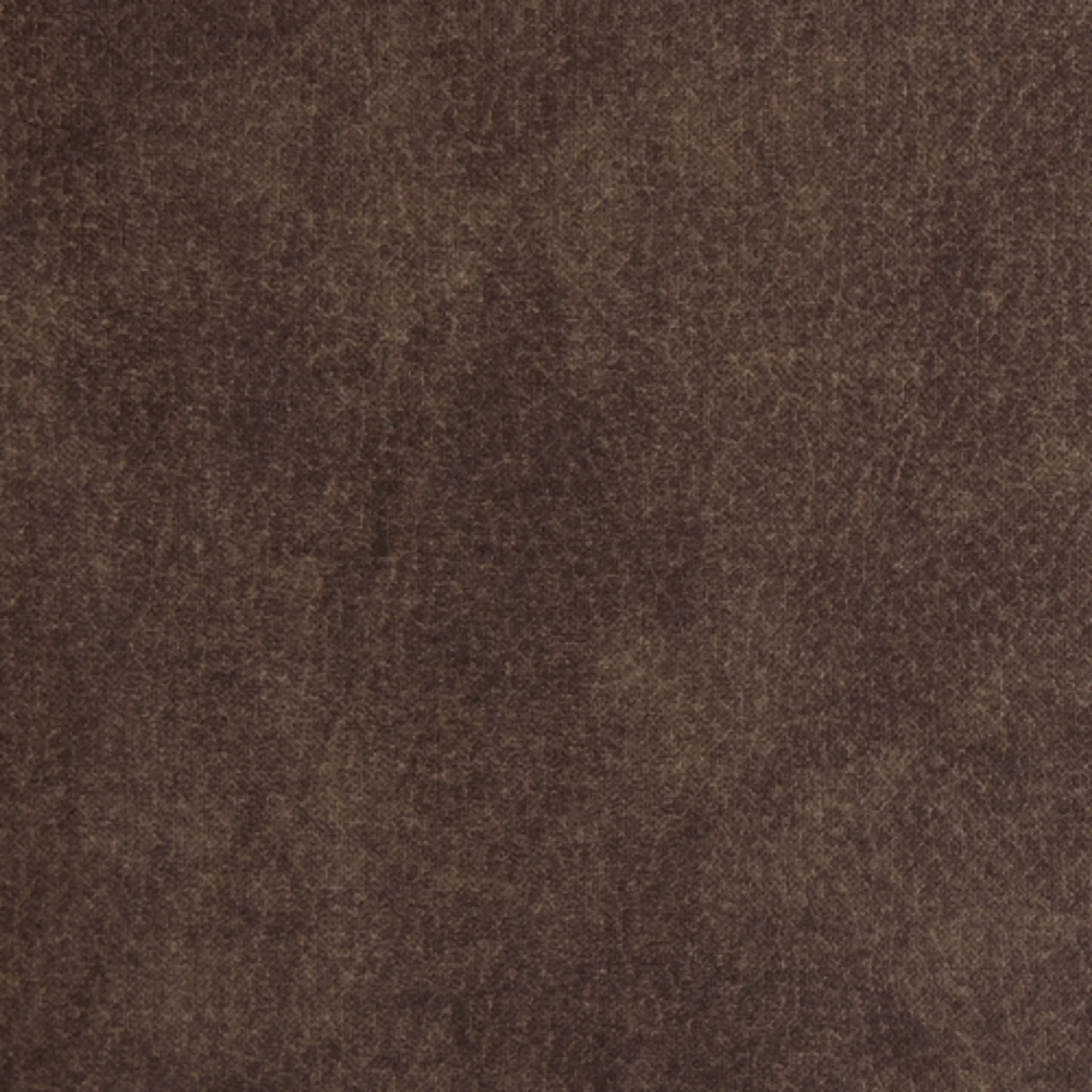 BROWN Captiva Elite Brown 48" Upholstered Shelter Bed