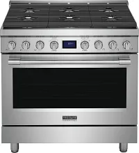 Frigidaire 3670 Series Stainless Steel Gas Range