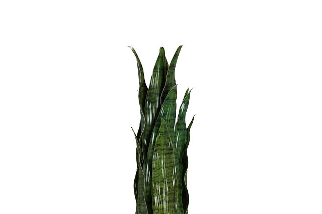 Snake Plant 24" Greenery