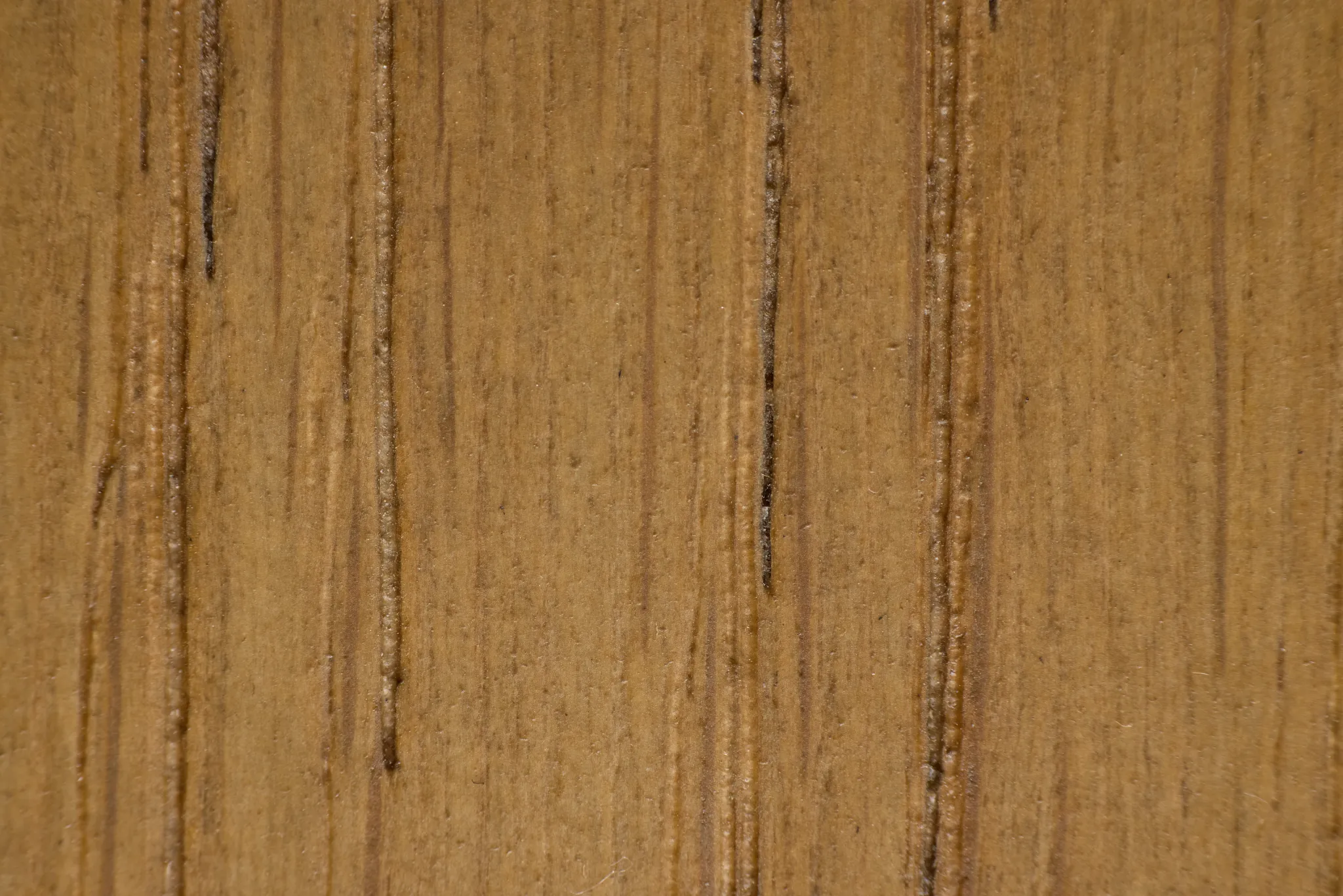 Haven White Woven Upholstered Dining Bench