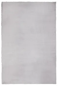 Kaycee Light Gray 4x6 Area Rug