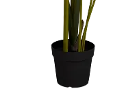 Bird Of Paradise 6' Green Greenery