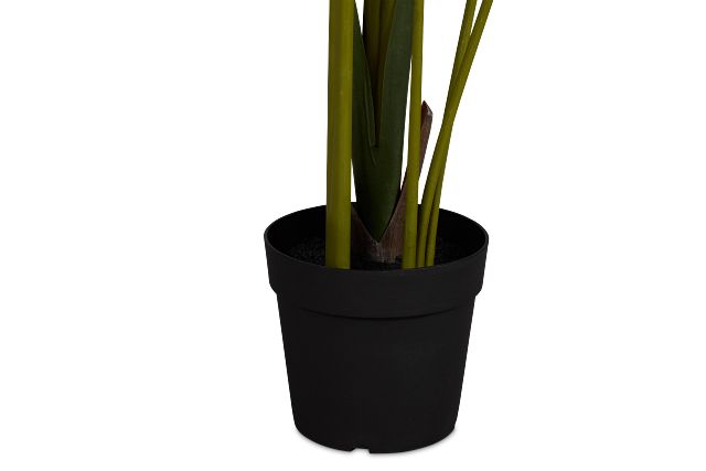 Bird Of Paradise 6' Green Greenery