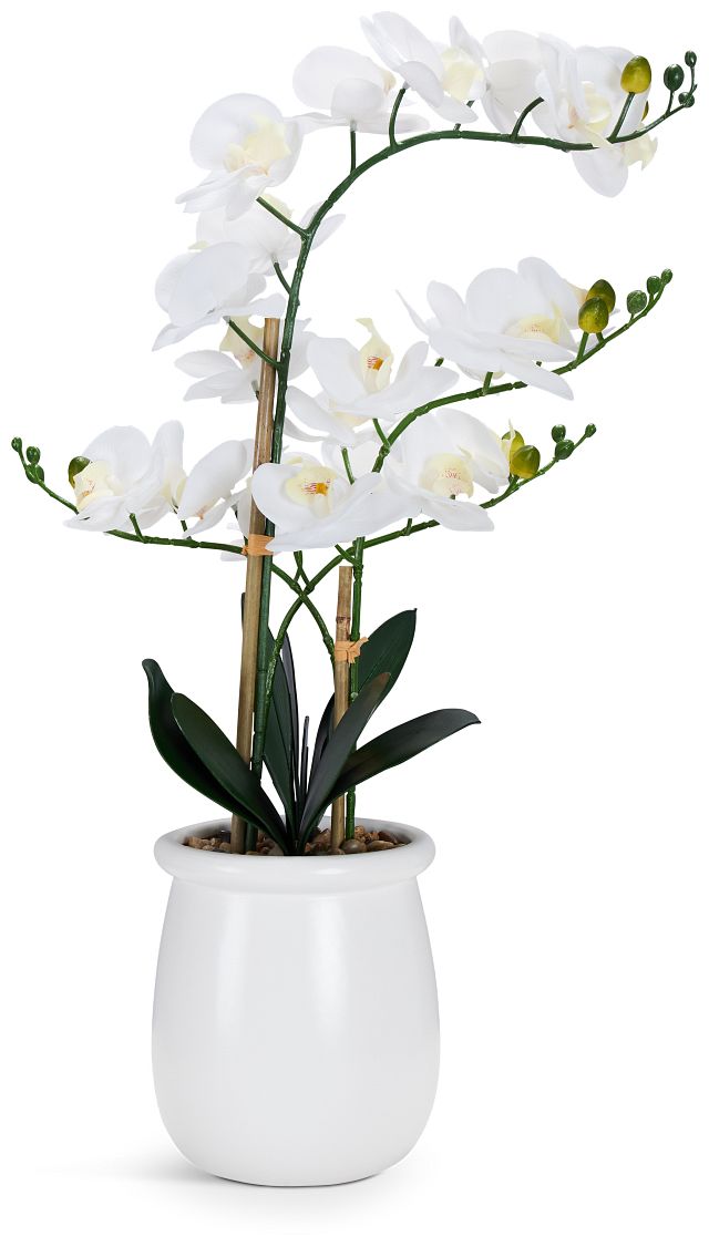 Potted Orchid 28" Floral Arrangement