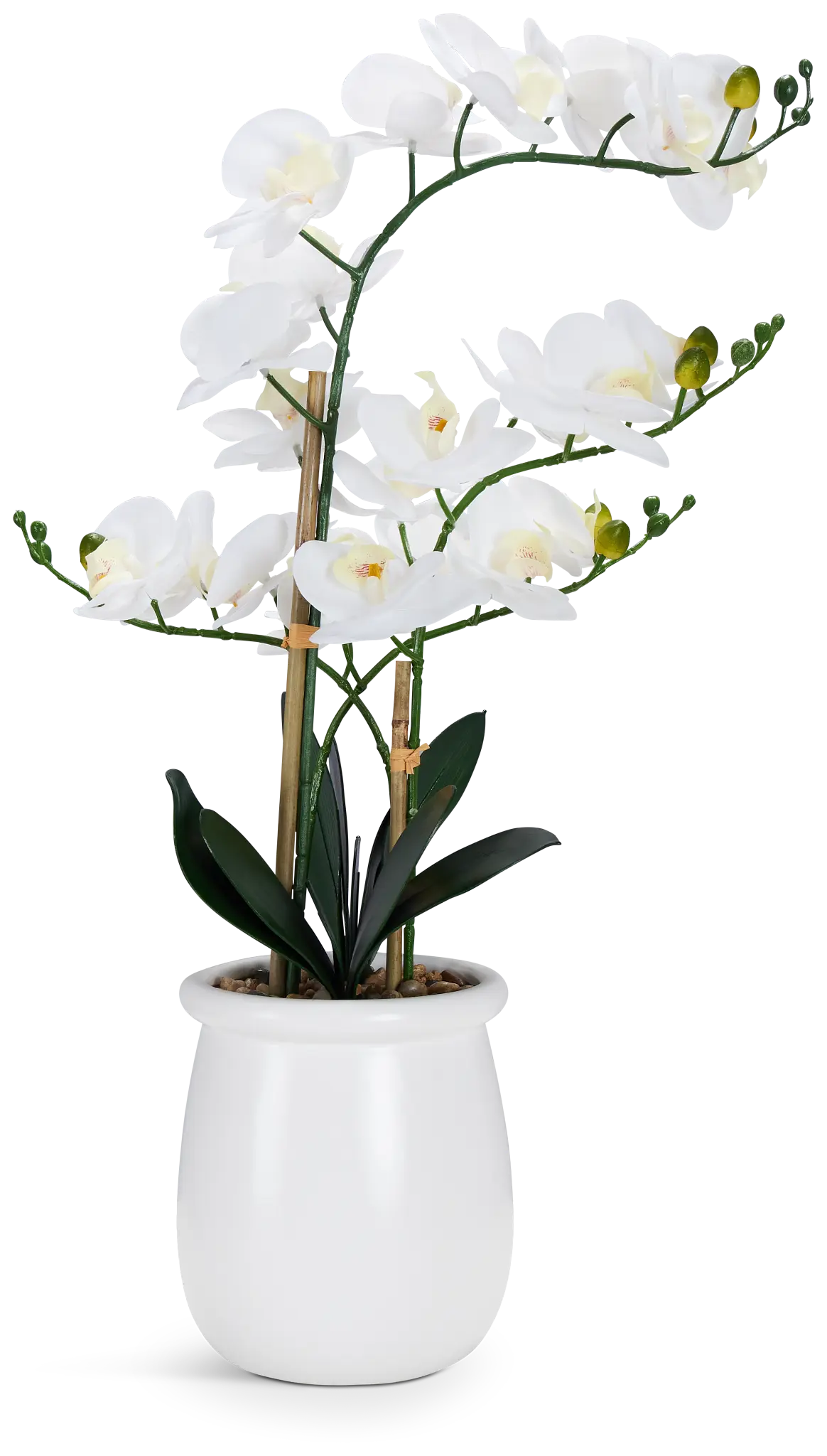 Potted Orchid 28" Floral Arrangement Potted Orchid 28" Floral Arrangement