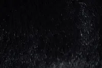 Kaycee Black 24" Accent Pillow