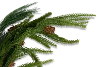 Pine 60" Garland