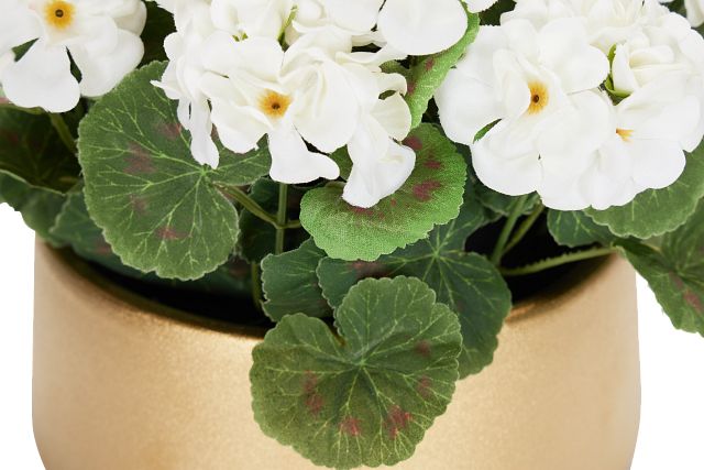 Begonia White 11" Floral Arrangement