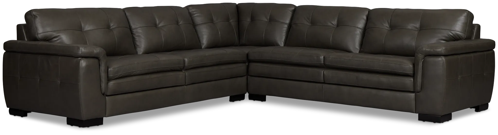 Braden Dark Gray Leather Small Two-arm Sectional