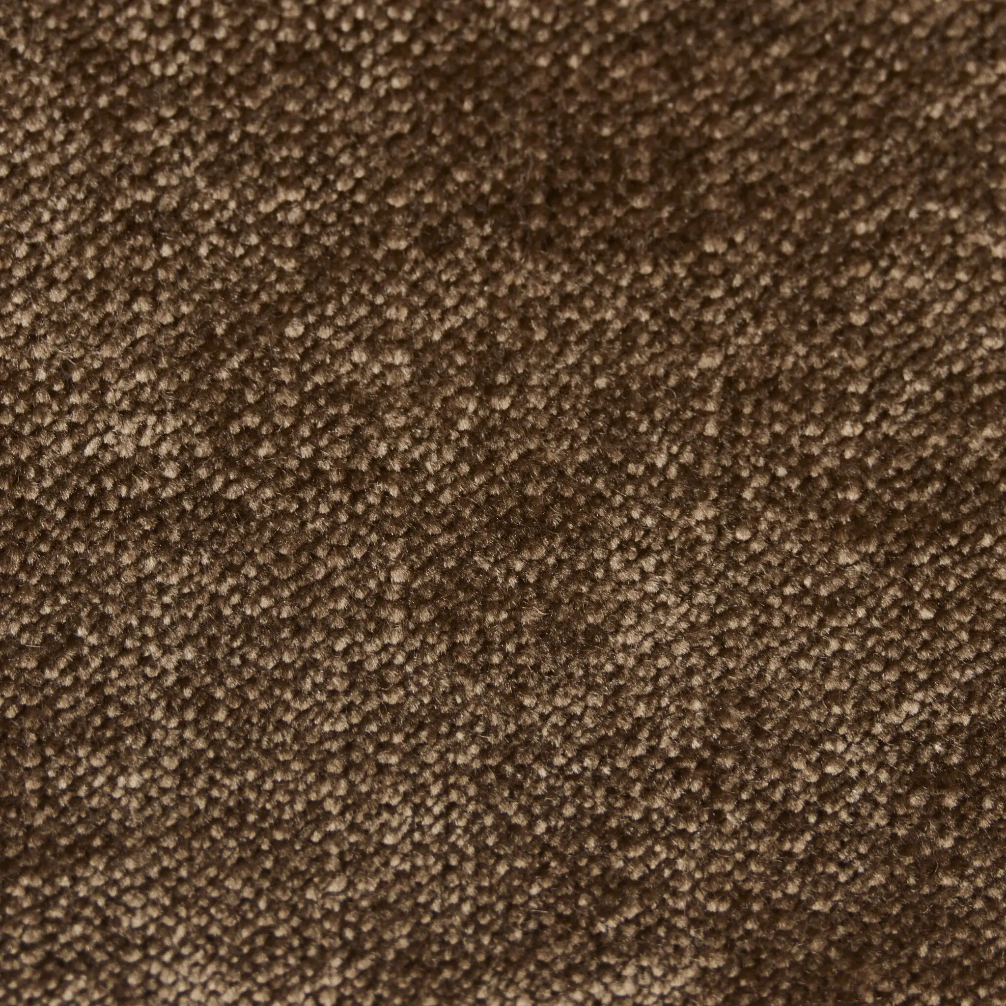 Four Hands Jayla Brown Velvet Upholstered Side Chair Four Hands Jayla Brown Velvet Upholstered Side Chair