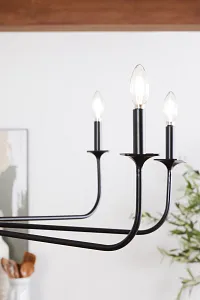 Teagan Black Chandelier