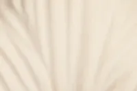 Zyla Ivory Small Vase