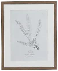 Needle Gray Framed Wall Art