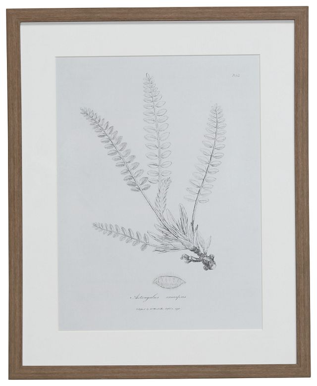 Needle Gray Framed Wall Art