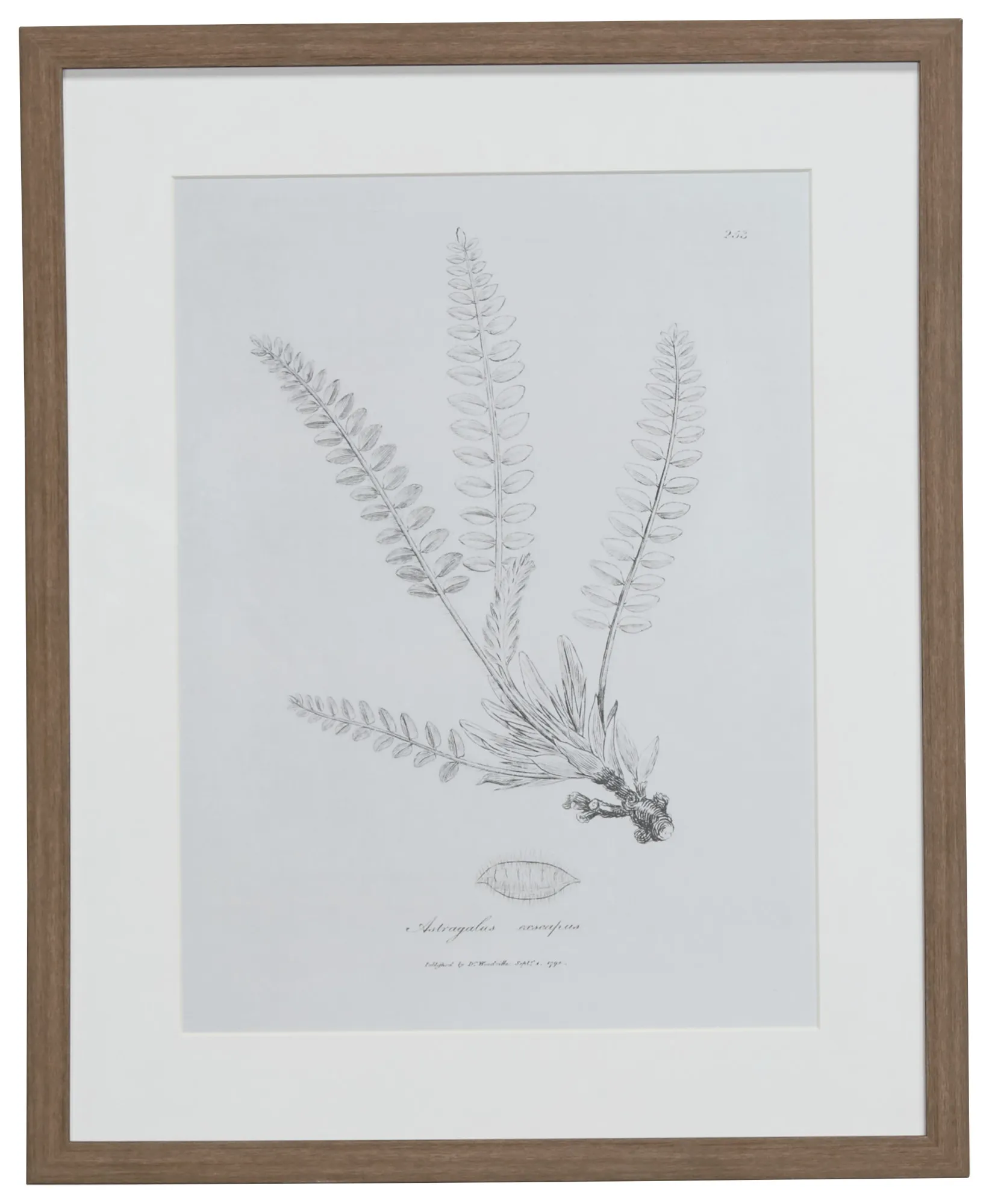 Needle Gray Framed Wall Art