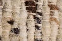 Juvias Ivory 5x8 Area Rug