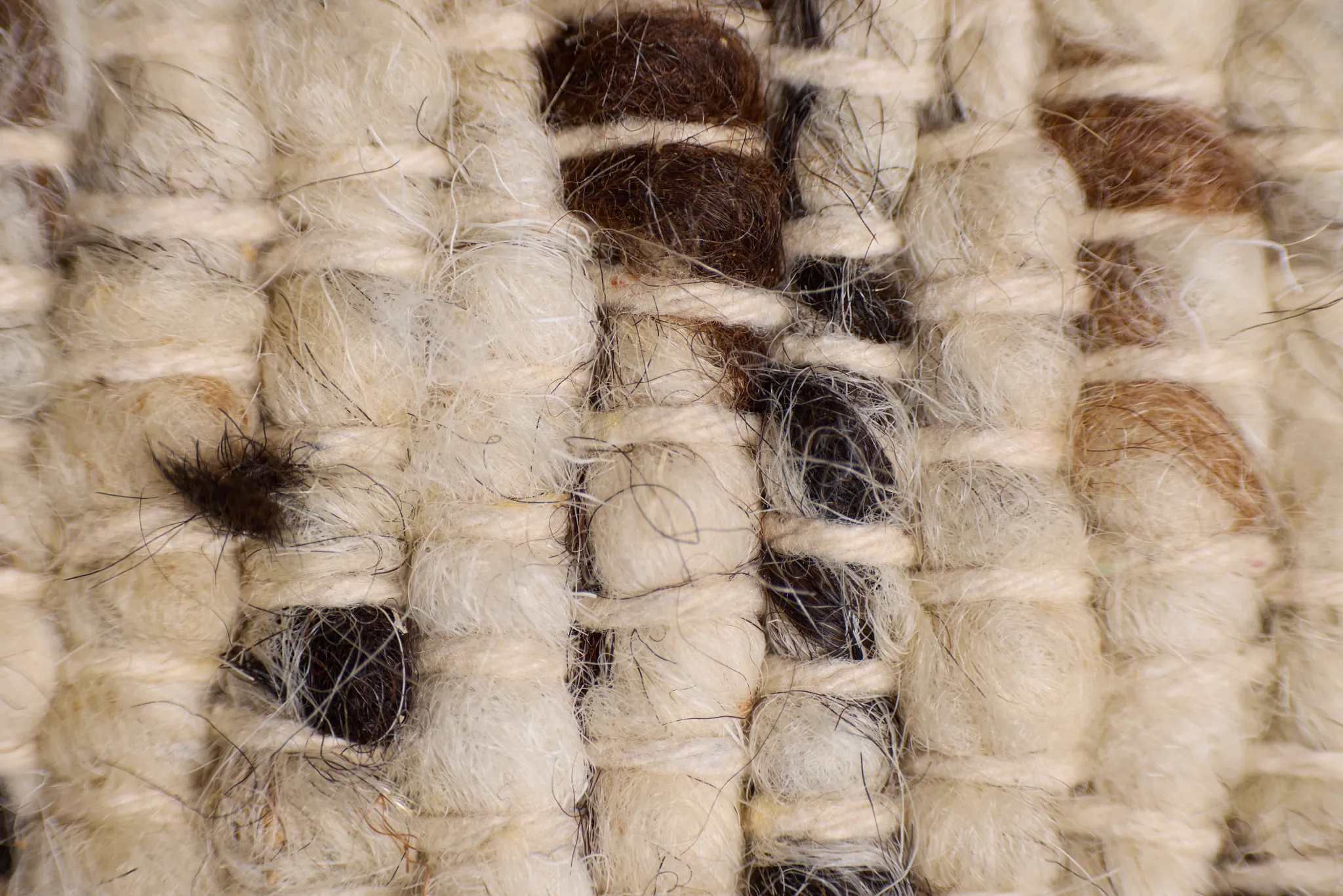 Juvias Ivory 5x8 Area Rug