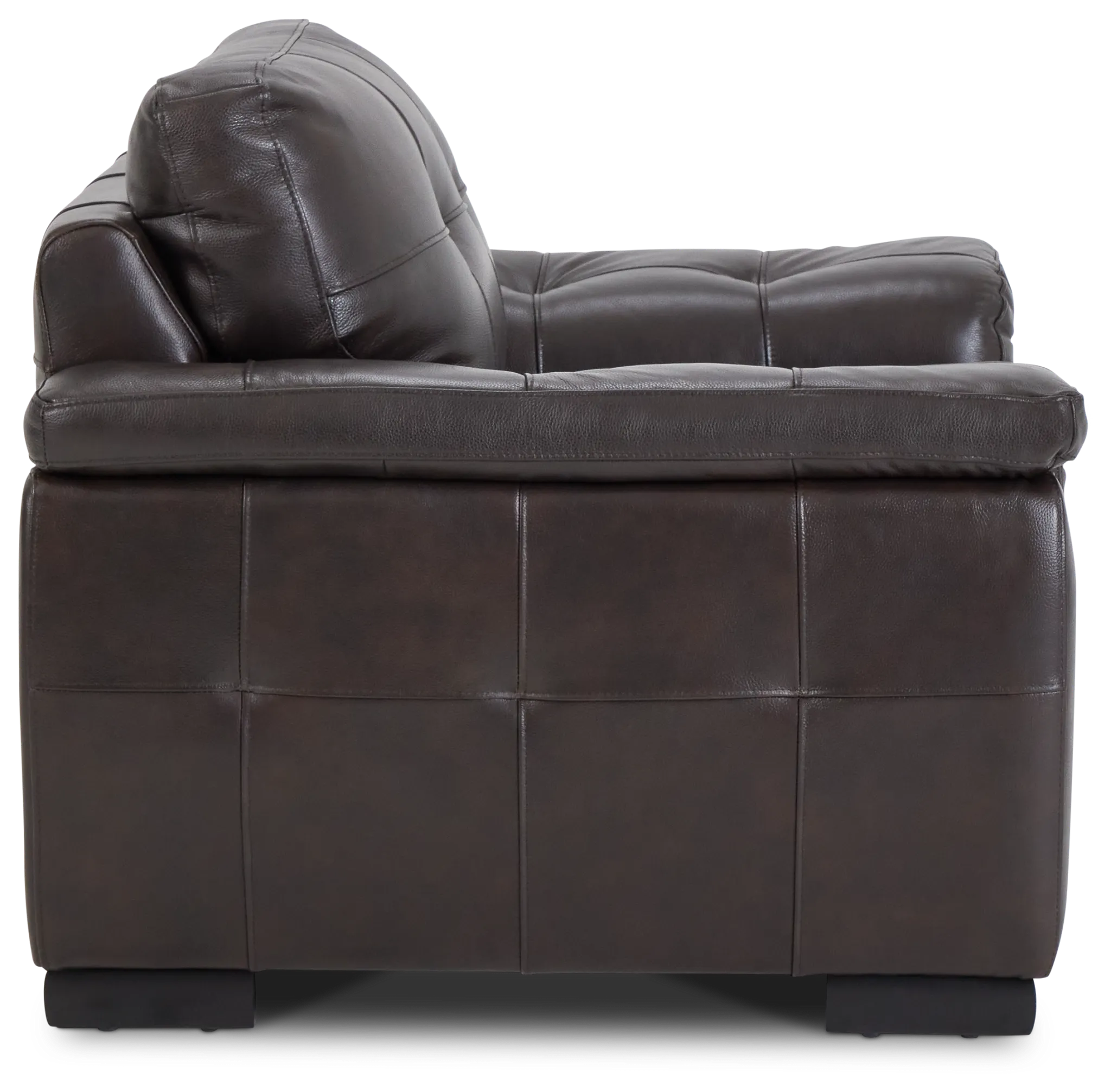 Braden Dark Brown Leather Chair