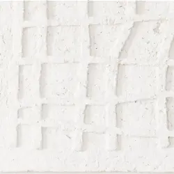 Ivory Ivory
