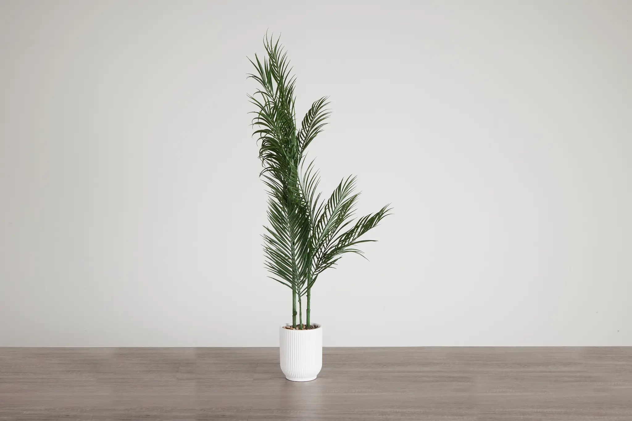 Potted Palm 48" Tree Potted Palm 48" Tree