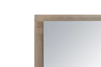 Destination Light Tone Door Dresser & Mirror