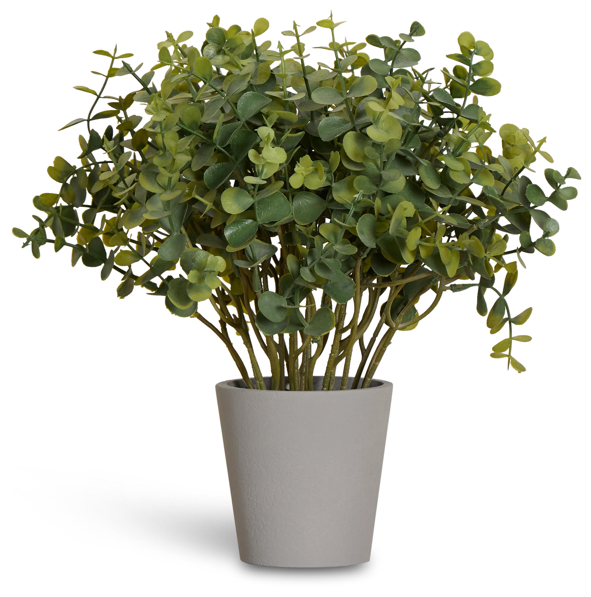 Eucalyptus Small Greenery