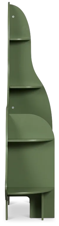Dinosaur Green Storage Bookcase