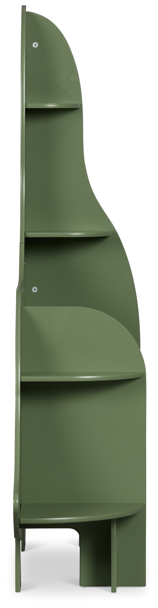 Dinosaur Green Storage Bookcase