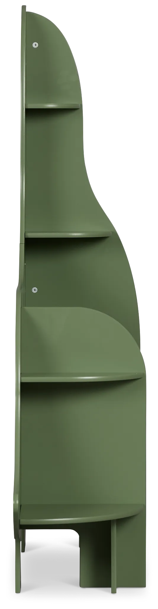 Dinosaur Green Storage Bookcase