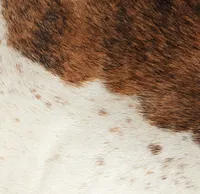 Motley Brown Leather 6x9 Area Rug