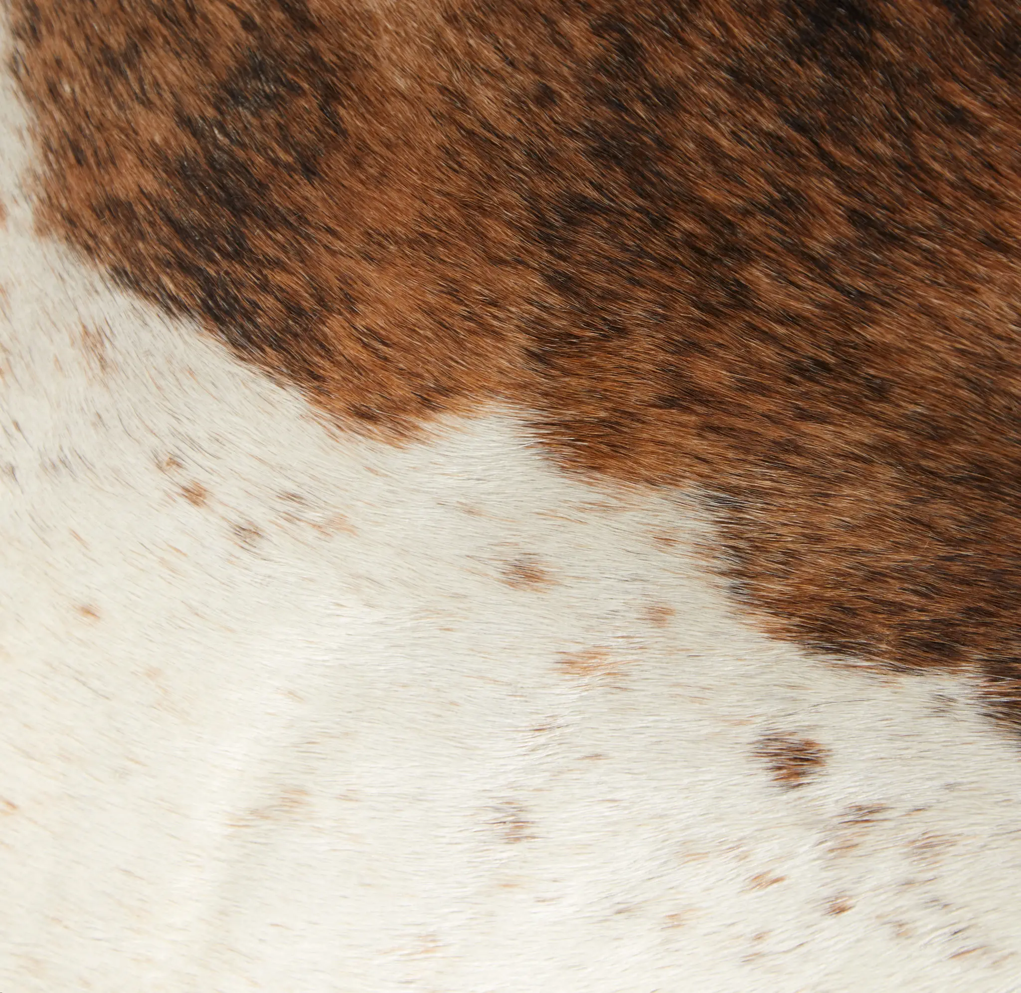 Motley Brown Leather 6x9 Area Rug Motley Brown Leather 6x9 Area Rug