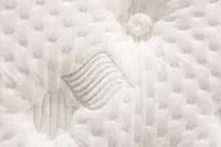 Aireloom Timeless Odyssey Streamline M1 15.5" Plush Mattress