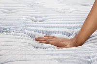 Kevin Charles By Sealy Signature 14" Plush Euro Top Mattress