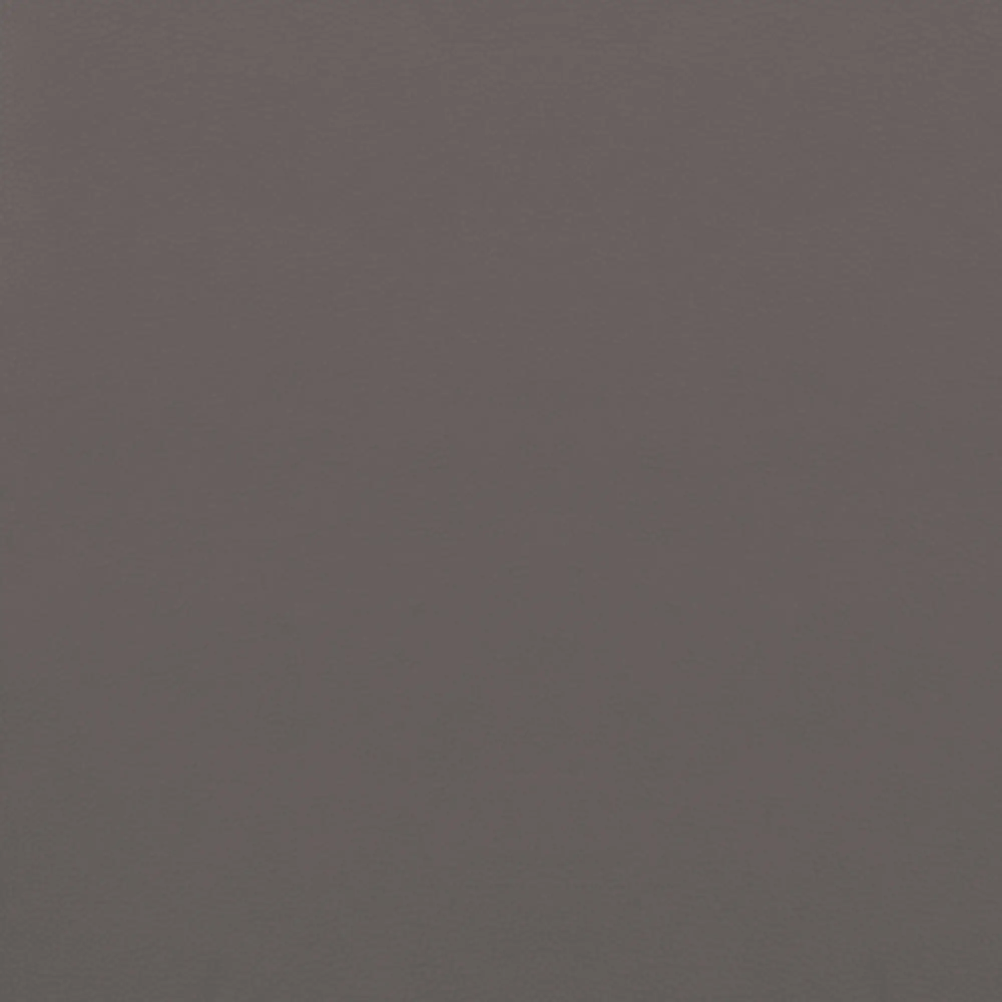 Gray Gray