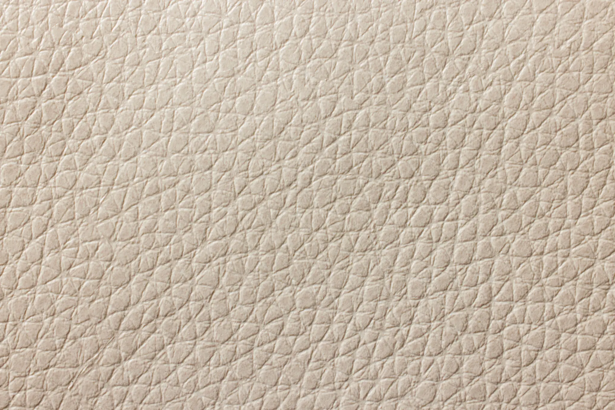 Light Beige Light Beige