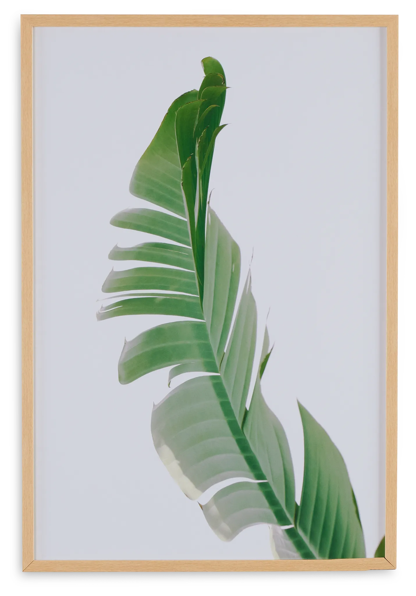 Hurlie Green Framed Wall Art