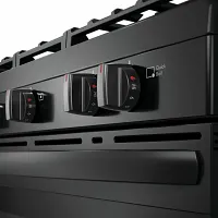 Frigidaire 3052 Series Black Gas Range