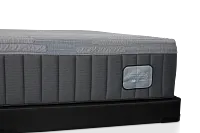 Kevin Charles By Sealy Hybrid Plush Low-profile Mattress Set