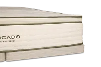 Avocado Green Cushion Firm Low-profile Mattress Set