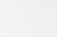 Charleston White Daybed