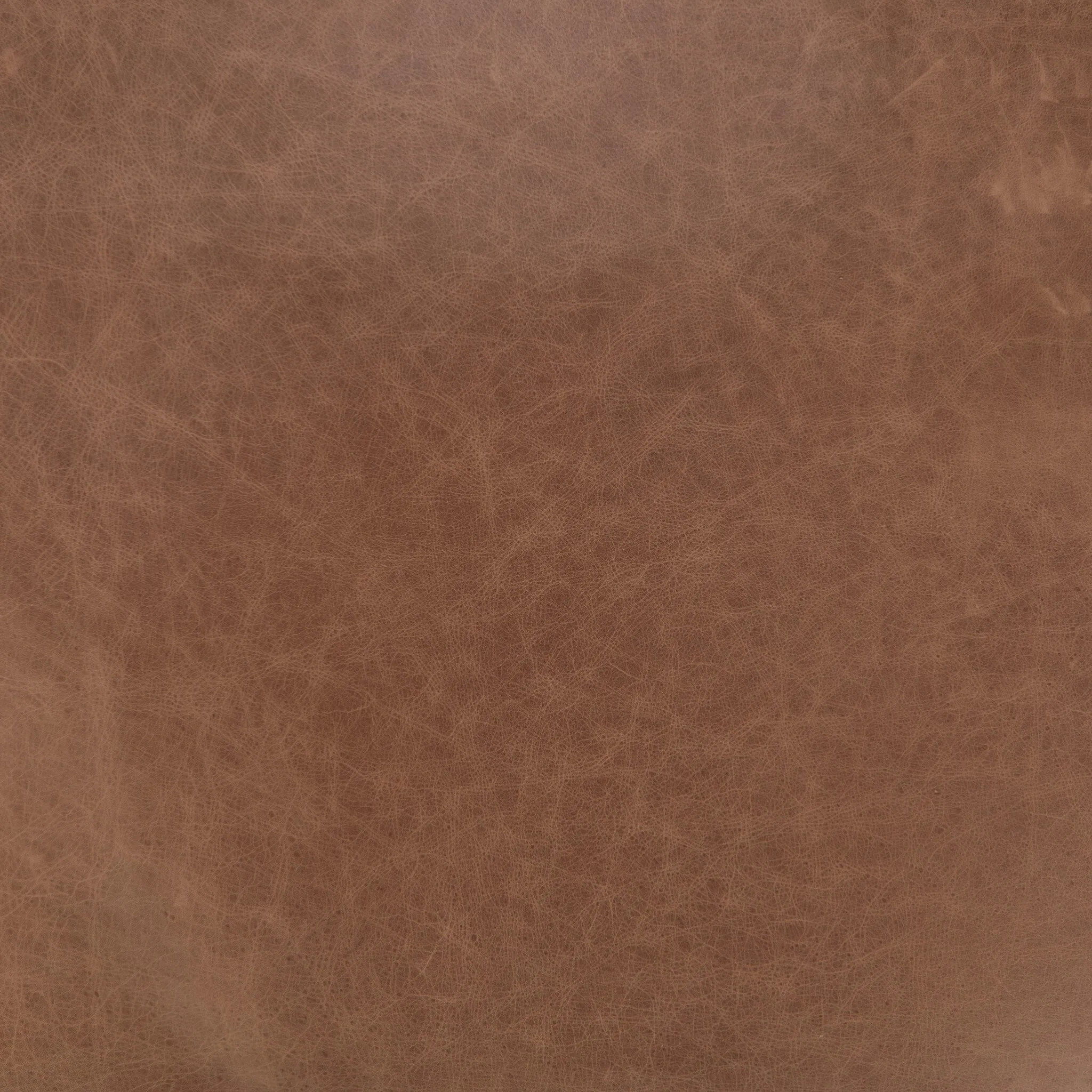 Four Hands Quinn Beige Upholstered Desk Chair