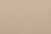 Reyna Beige Micro Power Reclining Loveseat